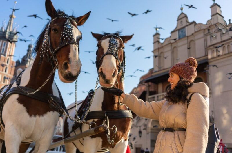 krakow_-old-town-and-national-museum-private-guided-tour