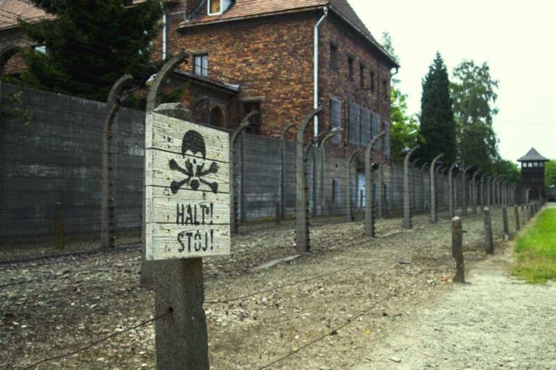 Krakow:Guided Auschwitz-Birkenau Tour - Transport by Minivan - Seamless Transport and Early Start