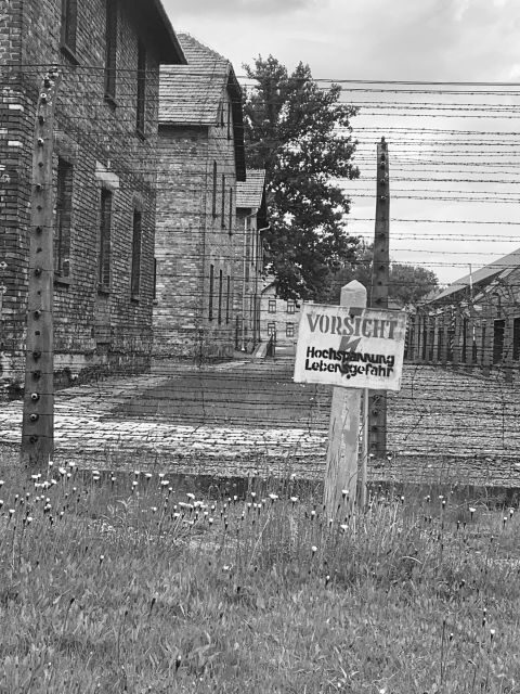 Krakow:Guided Auschwitz-Birkenau Tour - Transport by Minivan - Return to Krakow