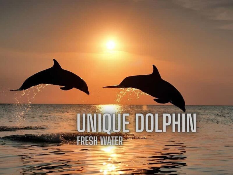 Kratie Dolphin Tour: Mekong Boat Trip, Villages & Sunset - A Closer Look at the Experience