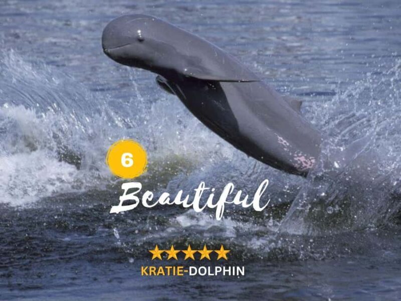 Kratie Dolphin Tour: Mekong Boat Trip, Villages & Sunset - FAQ