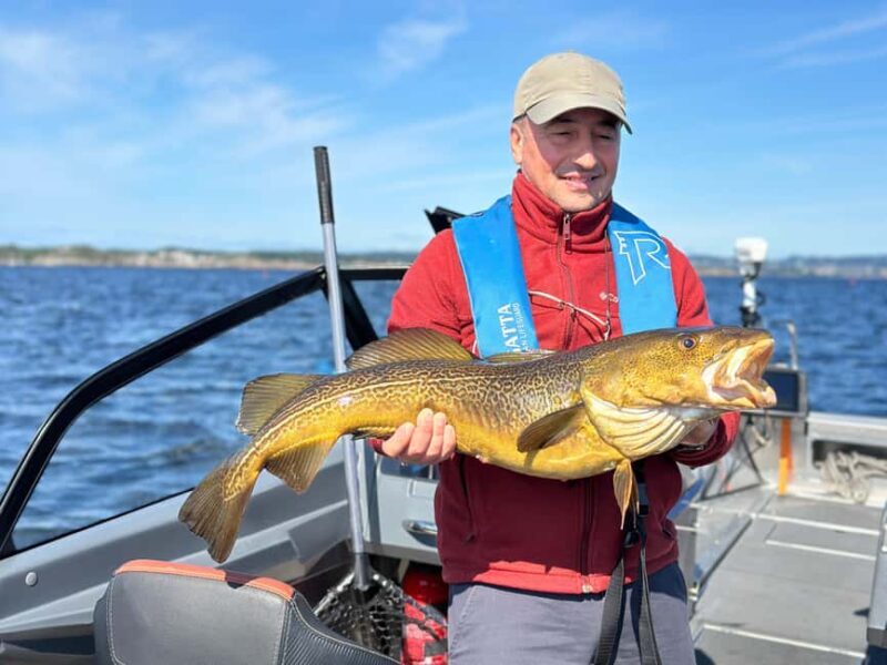 Kristiansand: Guided Sea Fishing Experience - Practical Details and What to Bring