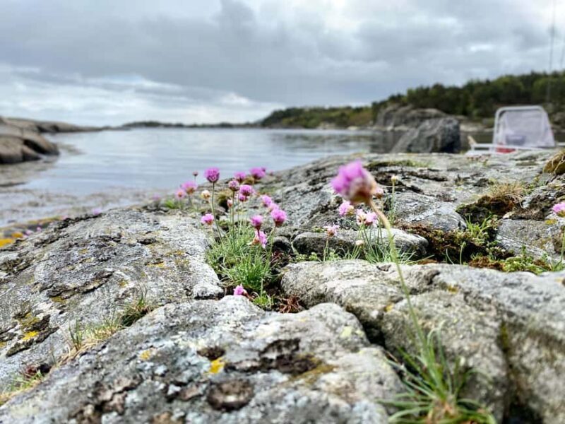 Kristiansand: Guided Sea Fishing Experience - FAQ about Kristiansand Guided Sea Fishing