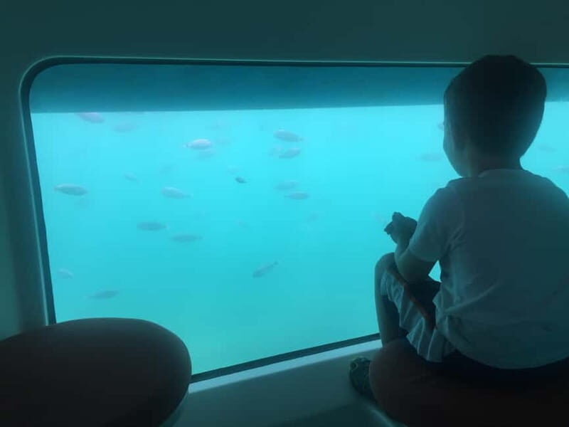 Krk: 45-Minute Semi-Submarine Tour - FAQ