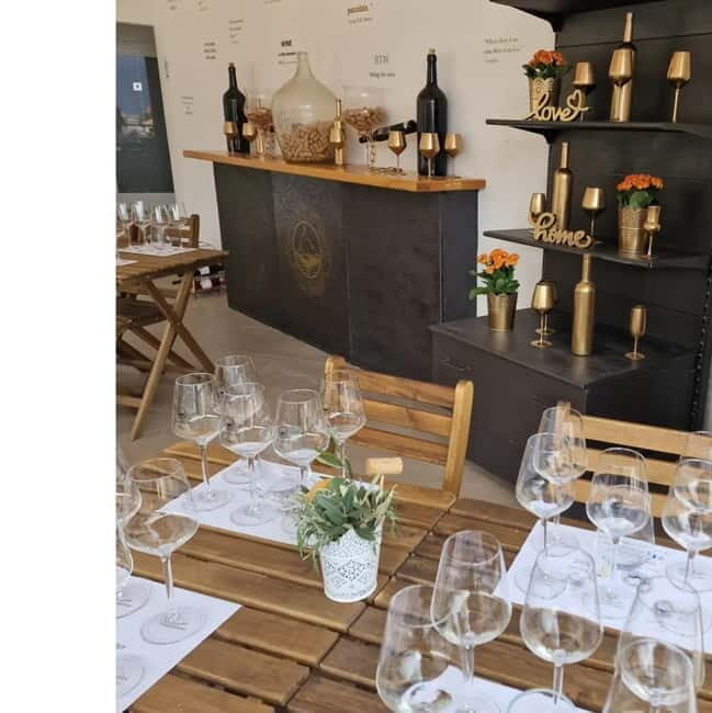 Krk: Family-Owned Winery Tour and Tasting - Who Should Book This Tour?
