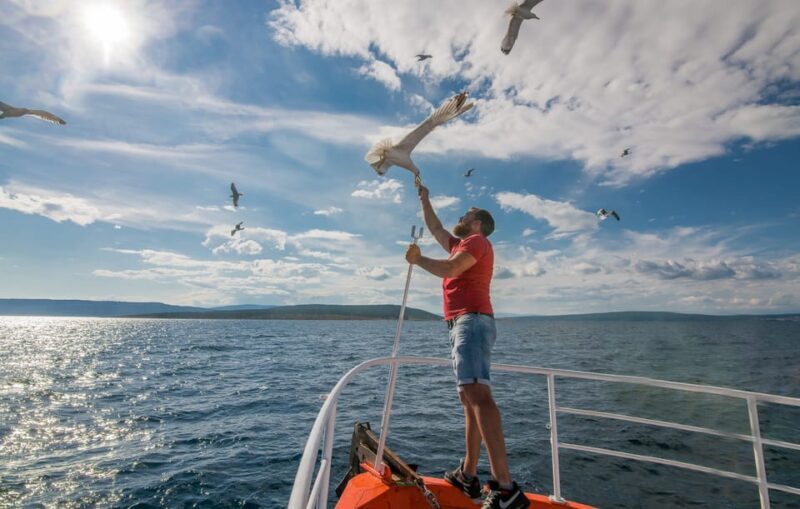 Krk: Golden Beach and Blue Cave Cruise with Welcome Drink - Who Will Love This Tour?