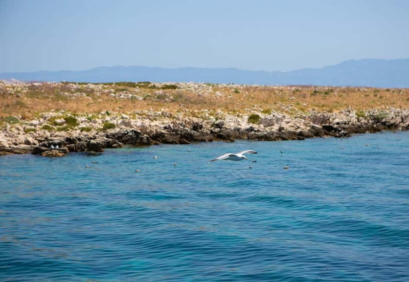Krk : Sailing along the coasts of island Krk and Plavnik - The Itinerary and What You Can Expect