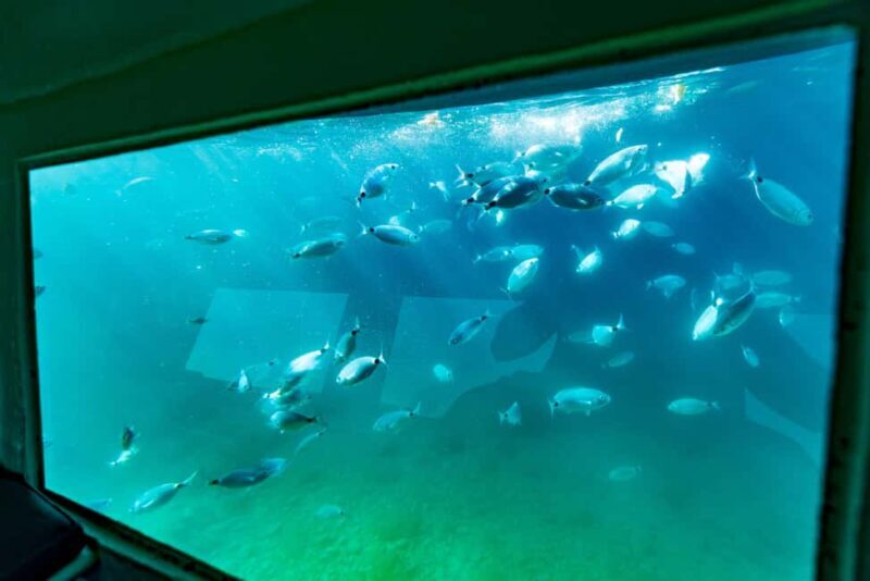 Krk: Yellow Semi-Submarine Tour - Why This Tour Is Worth Considering