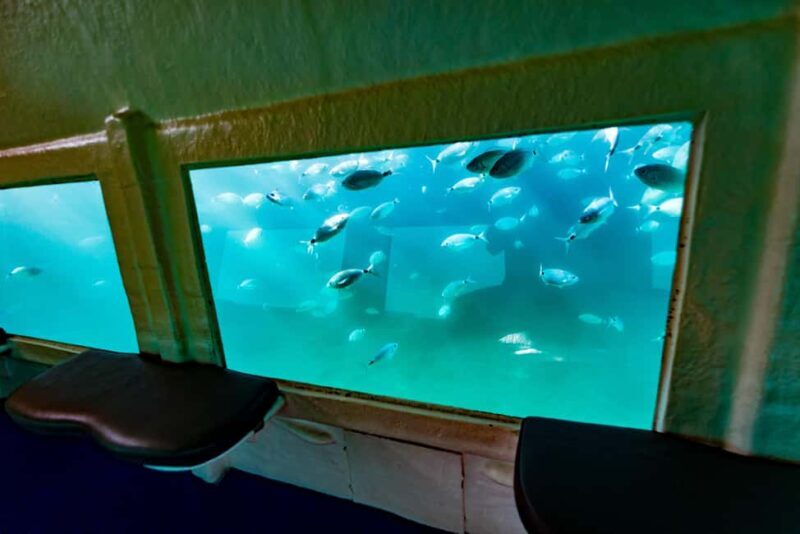 Krk: Yellow Semi-Submarine Tour - Who Would Enjoy This Tour Most?