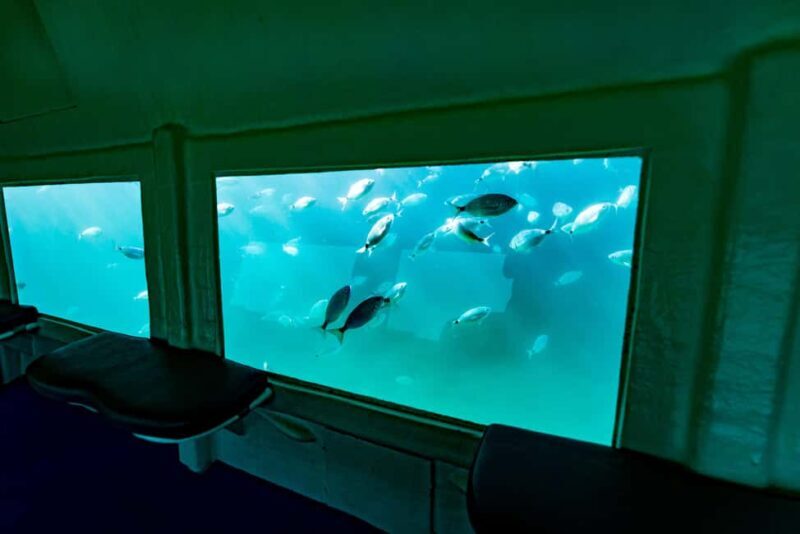 Krk: Yellow Semi-Submarine Tour - Final Thoughts