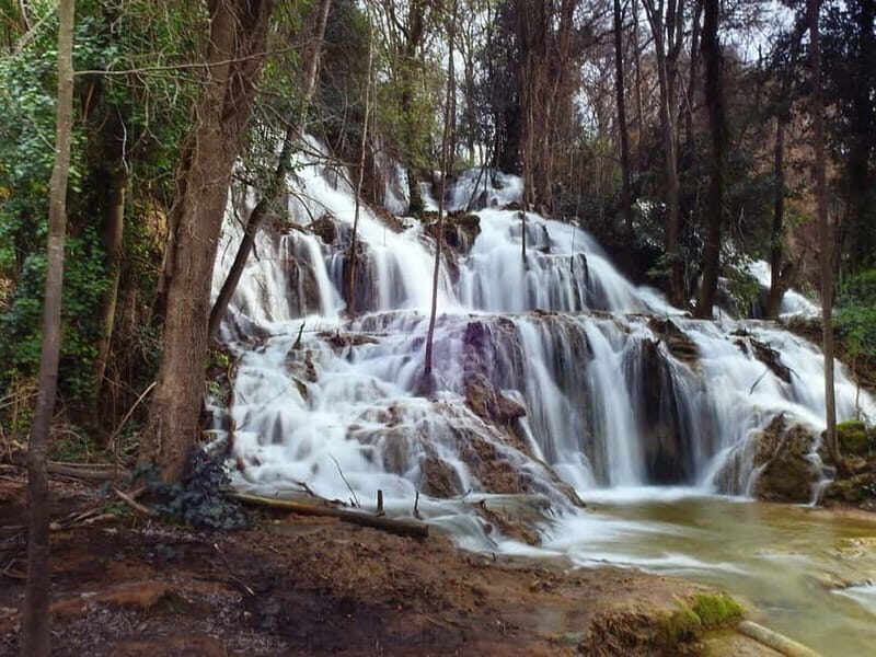 Krka National Park from Zadar Port - Is This Tour Right for You?