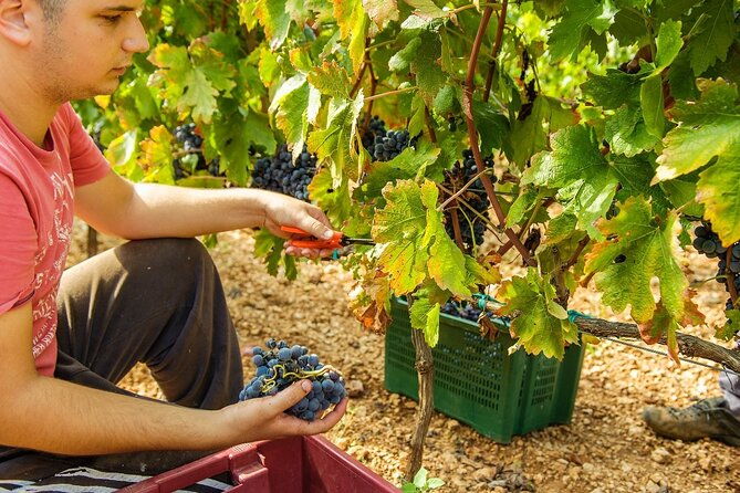 krka-waterfalls-dalmatian-delights-from-split-or-trogir