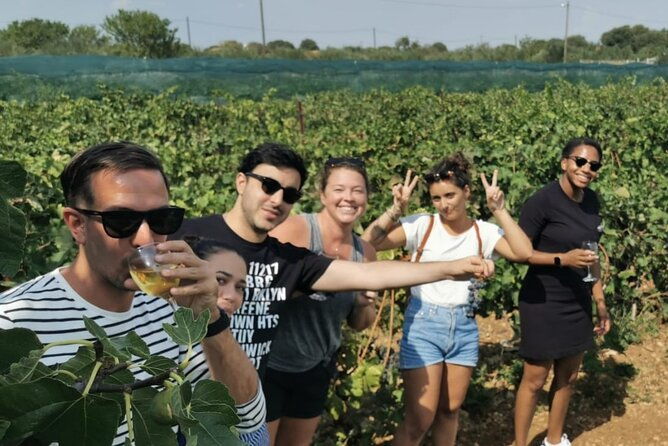 krka-waterfalls-from-split-transfer-and-lunch-included