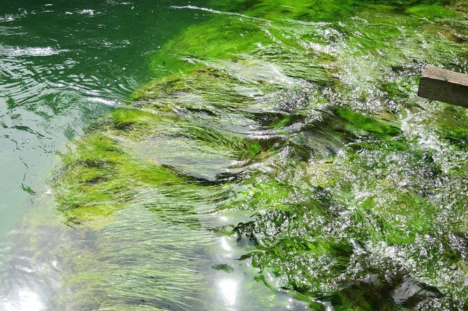 krka-waterfalls-luxury-tour-for-singles-or-couples