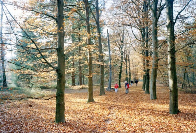 kroller-muller-museum-entrance-ticket