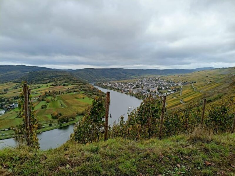Kröv, Moselle: COVERED WAGON RIDE through the vineyards with wine tasting - Is It Worth the Price?