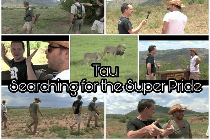 Kruger Lion Expedition with the Little Lionman Steve Kelly - The Experience in Detail