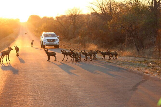 Kruger National Game Park three day PRIVATE Tour - The Experience in Detail