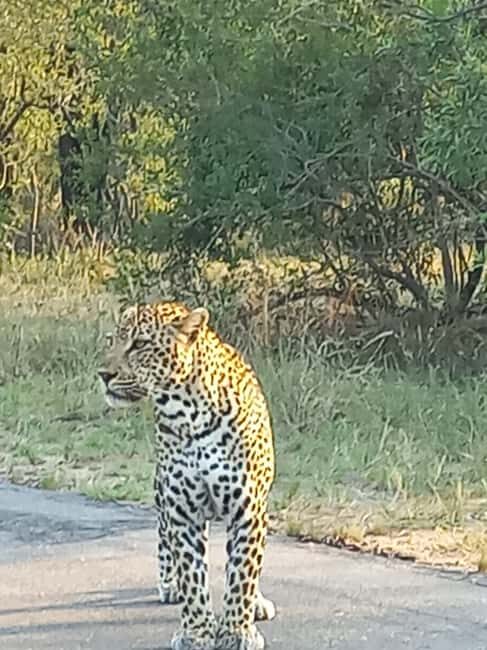 Kruger National Park: 10-Day Northern to Southern Tour - Who Should Consider This Tour?