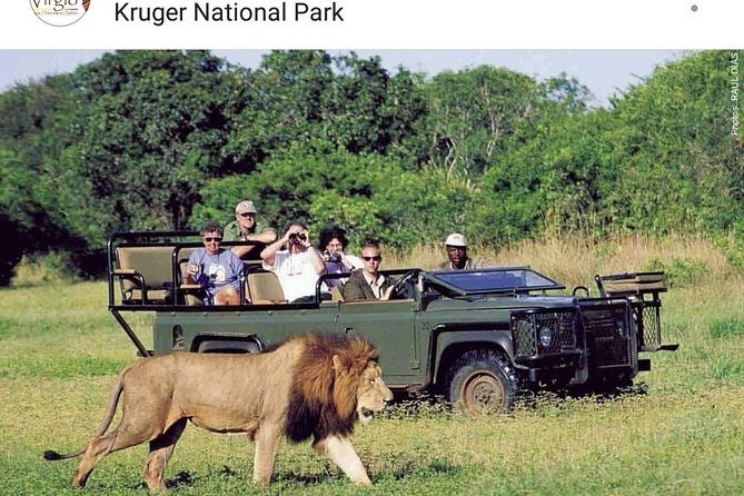 Kruger National Park 2 Days 1 Night Magical Safari from Johannesburg Private - Key Points