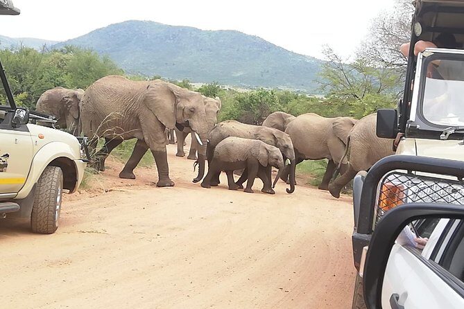 Kruger National Park 2 Days 1 Night Magical Safari from Johannesburg Private - FAQ