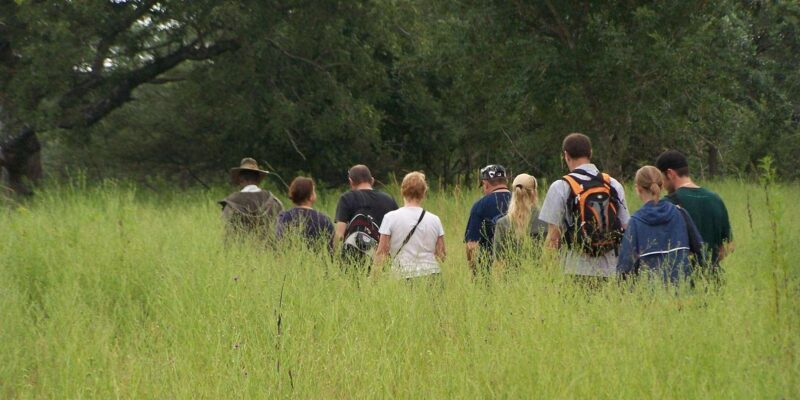 Kruger National Park: 3-Day Essence of the Kruger Safari - Discovering the Journey: A Detailed Look at the 3-Day Kruger Safari