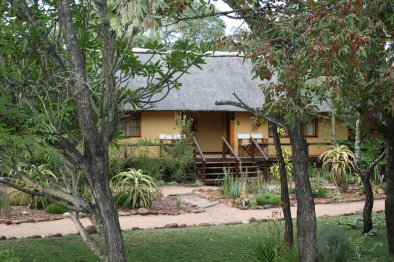 Kruger National Park: 3-Day Essence of the Kruger Safari - Final Thoughts: Is This Tour Right for You?