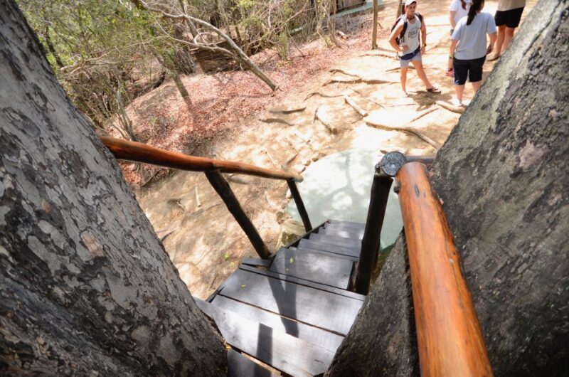 Kruger National Park: 3-Day Safari Tour and Treehouse Stay - An In-Depth Look at the 3-Day Kruger Safari