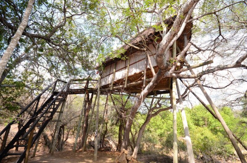 Kruger National Park: 3-Day Safari Tour and Treehouse Stay - FAQs