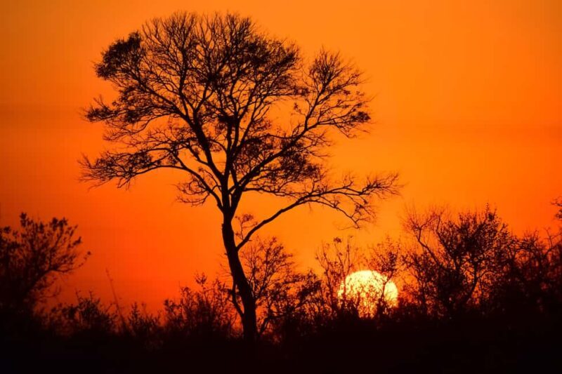 Kruger National Park 3 Days Best Ever Safari from Cape Town - The Sum Up