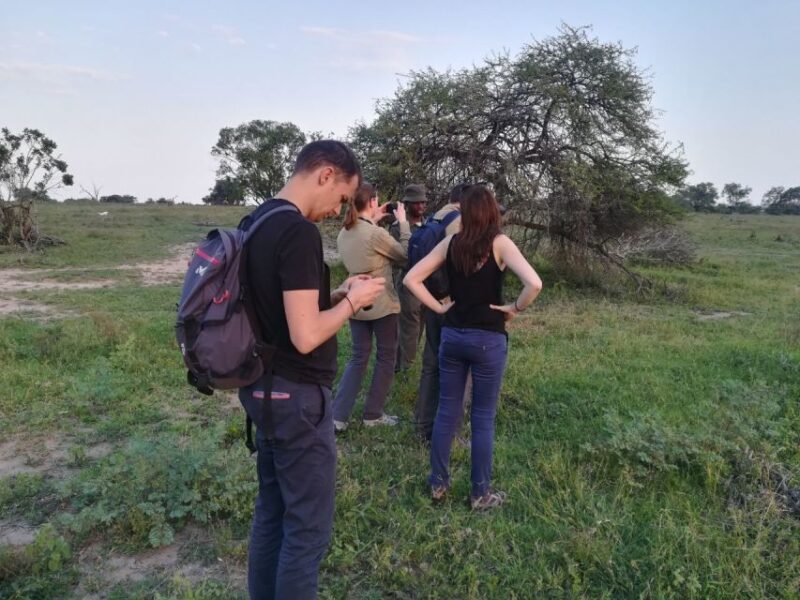Kruger National Park: 3-Hour Walking Safari - Key Points