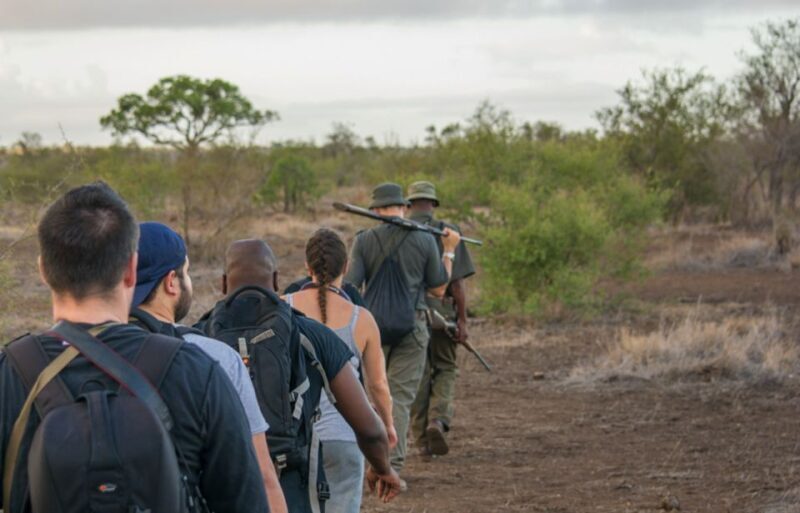 Kruger National Park: 3-Hour Walking Safari - An Honest Breakdown of the Walking Safari