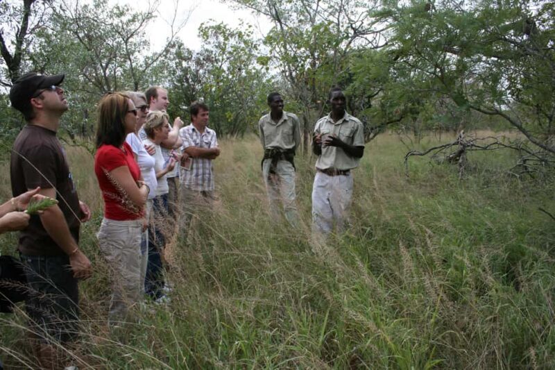 Kruger National Park: 4-Day Encounter the Kruger Park Safari - Exploring the 4-Day Kruger Safari: What You Can Expect