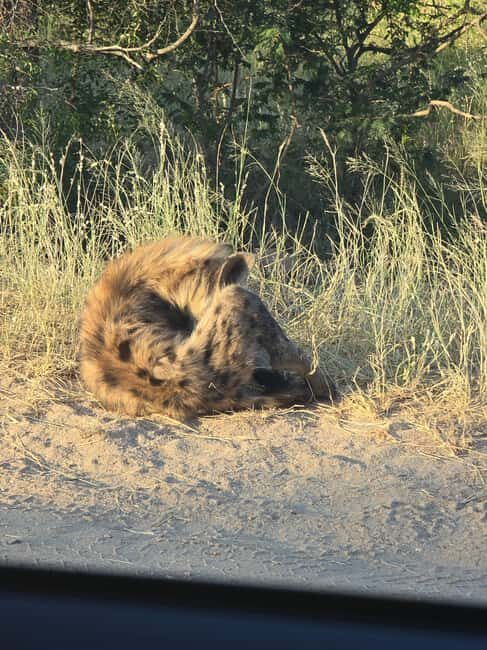 Kruger National Park: 4-Day Glamping Budget Safari - FAQ