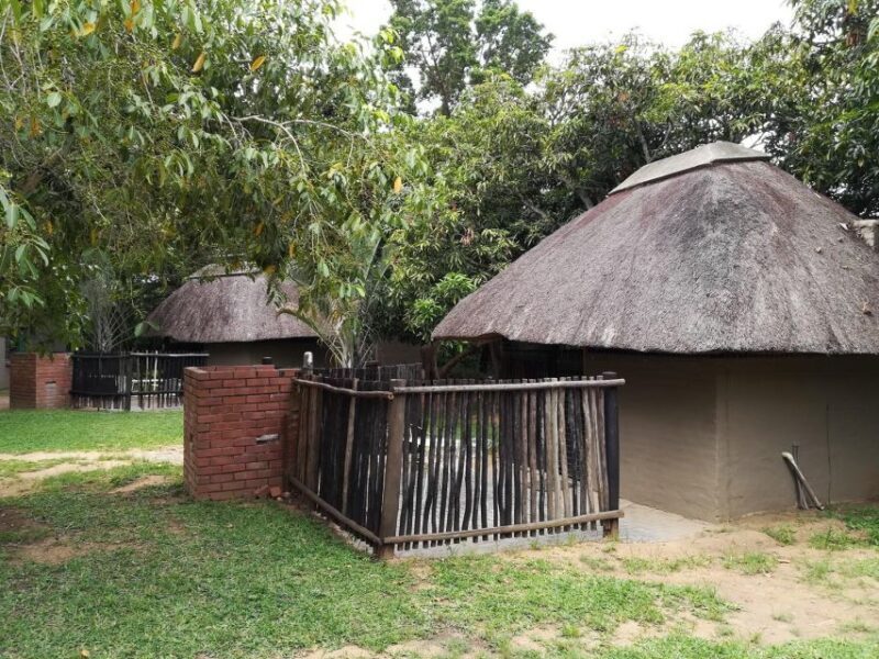 Kruger National Park - 4 Day Safari Tour - An In-Depth Look at the 4-Day Kruger Safari