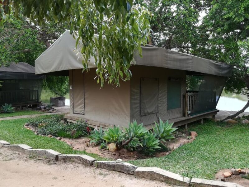 Kruger National Park - 4 Day Safari Tour - Authentic Traveler Insights