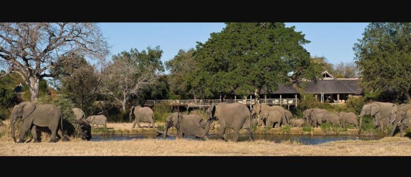 Kruger National Park - 4 Day Tour from Johannesburg - Key Points
