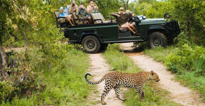 Kruger National Park - 4 Day Tour from Johannesburg - What Makes This Tour Special?