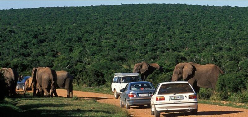 Kruger National Park - 4 Day Tour from Johannesburg - Logistics & Practical Details