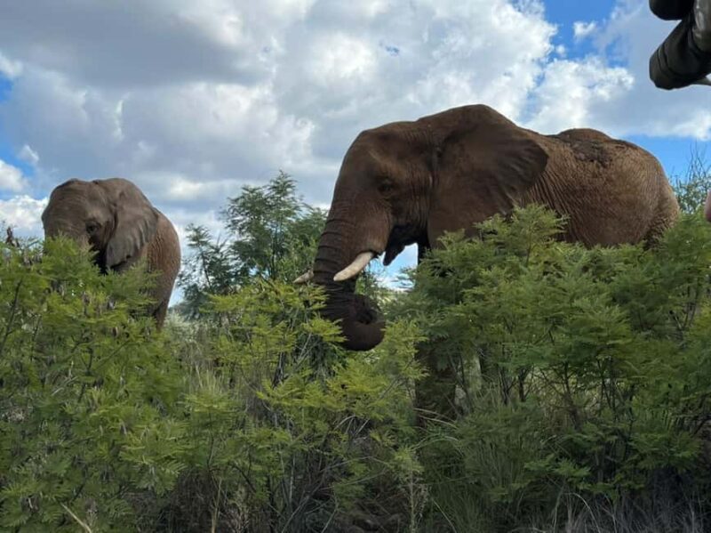 Kruger National Park: 4-Day Ultimate Safari Tour - Important Tips for Travelers
