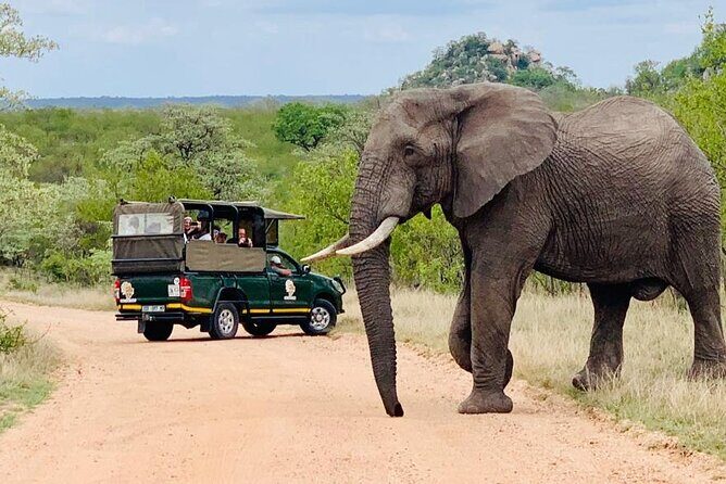Kruger National Park Afternoon Private safari - Practical Tips for Your Safari