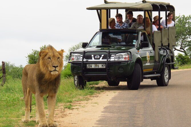 Kruger National Park Afternoon Private safari - Authentic Experiences from Reviewers