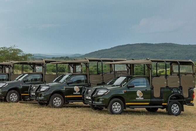 Kruger National Park Afternoon Private safari - Who Should Consider This Tour?
