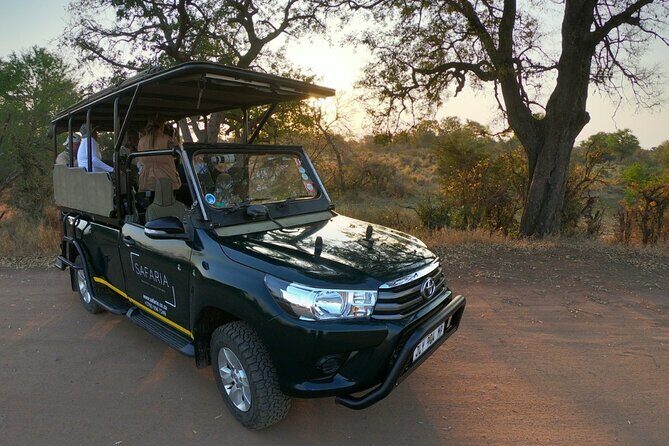 Kruger National Park Afternoon Sunset Safari Tour - The Experience: What You Can Expect from the Kruger Sunset Safari