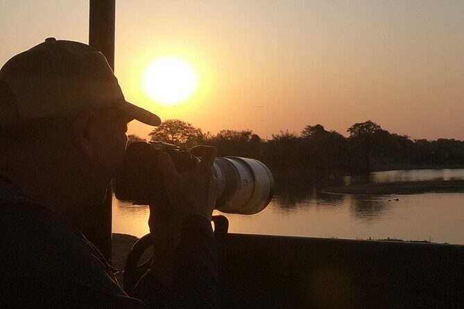 Kruger National Park Afternoon Sunset Safari Tour - The Sum Up: Who Should Consider This Safari?