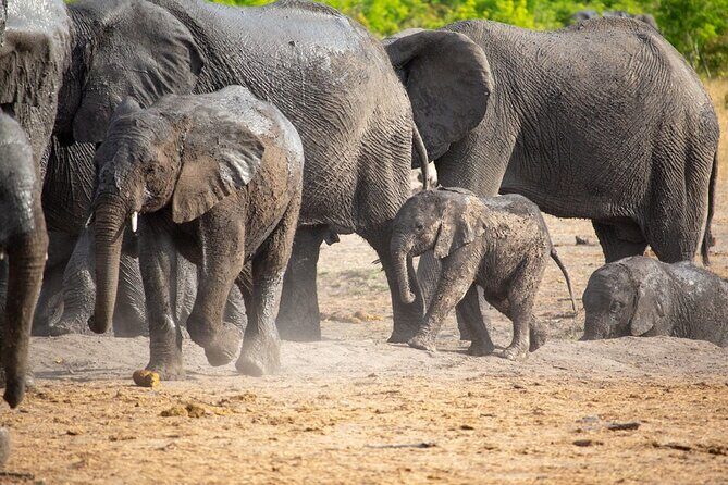Kruger National Park Best Tour - Key Points