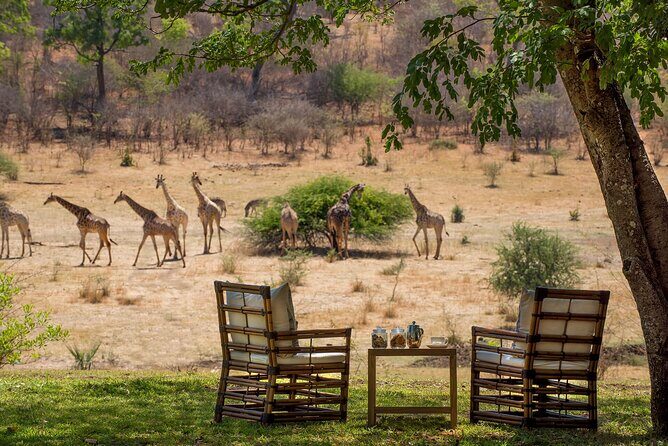 Kruger National Park Best Tour - An Honest Look at the Kruger National Park Best Tour