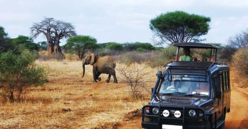 Kruger National Park & Blyde River Canyon 4 Day Safari - Key Points