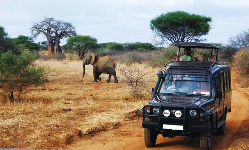 Kruger National Park & Blyde River Canyon 4 Day Safari - The Sum Up