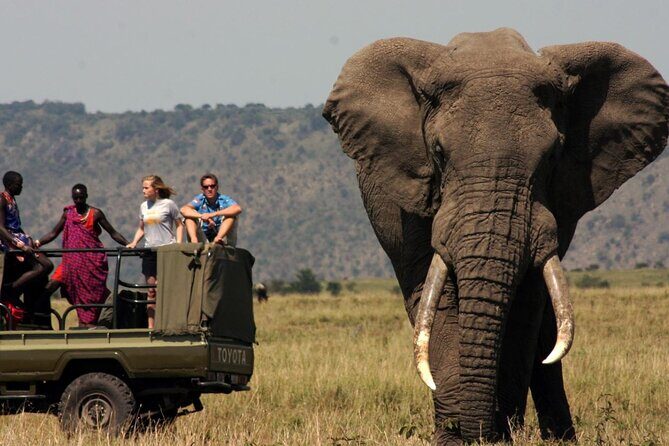 Kruger National Park & Blyde River Canyon Tour from Johannesburg - A Detailed Look at the Tour Experience